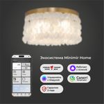 Умная потолочная люстра с перламутром 60084/5 латунь/перламутр Smart, E14х5