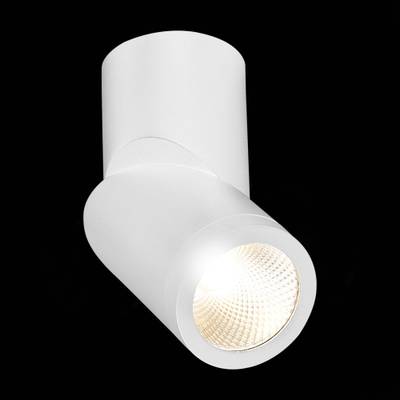 ST650.532.10 Светильник потолочный Белый LED 1*10W 3000K 800Lm Ra&gt;90 38° IP44 D60xH175 165-265V