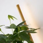 Настенный светильник Greenery 4050-2W. ТМ Favourite