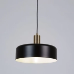 Подвесной светильник Arte Lamp SKAT A7052SP-1BK, 1хE27