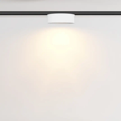 Трековый светильник Зон / Zon Levity 2700К 12Вт 100°, TR189-1-12W2.7K-BW. TM Maytoni