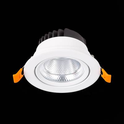 ST211.538.10.36 Св-к встр. Белый LED 1*10W 3000K 750Lm Ra80 36° IP20 D109xH65 220-240V