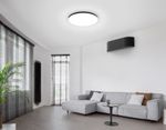 Потолочный светодиодный светильник с Wi-Fi Яндекс Алисой/Tuya/Smart Home/Alexa FZ2005 BK черный IP54 25W 3000K-6500K+RGB D370*55 (ПДУ ИК)