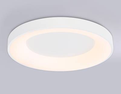 Потолочный светодиодный светильник FZ1401 WH белый IP20 48W 3000K-6500K D500*50 (ПДУ ИК)