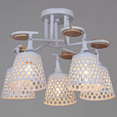 04218-0.3-05 WT светильник потолочный