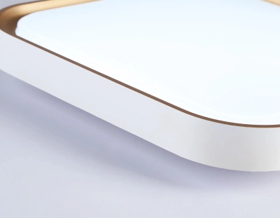 Потолочный светодиодный светильник FZ1253 WH/GD белый/золото 18W 5000K 250*250*60 (Без ПДУ)