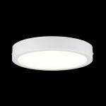 Citilux Галс CL5522N Светильник накладной светодиодный