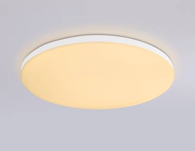 Потолочный светодиодный светильник с Wi-Fi Яндекс Алисой/Tuya/Smart Home/Alexa FZ2001 WH белый IP54 20W 3000K-6500K+RGB D300*55 (ПДУ ИК)