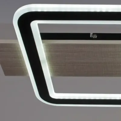 00829-0.3-02 WD+BK светильник потолочный Reluce, LED
