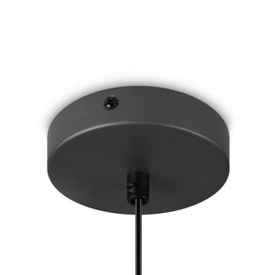 Подвесной светильник Moth FR5392PL-01GR1, E27х1. TM Maytoni