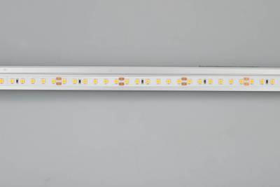 Лента RT 2-5000 24V Warm3000 2x (2835, 600 LED, CRI98) (Arlight, 14.4 Вт/м, IP20)