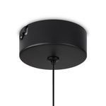 Подвесной светильник Ida FR6133PL-L4C, LED. TM Maytoni
