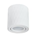 Точечный накладной светильник Arte Lamp FANG A5559PL-1WH, 1хGU10