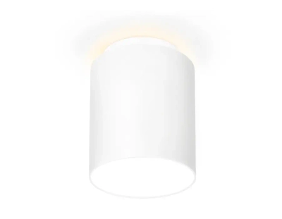 Накладной светодиодный точечный светильник TN261 WH/S белый/песок LED 4200K 10W D100*100