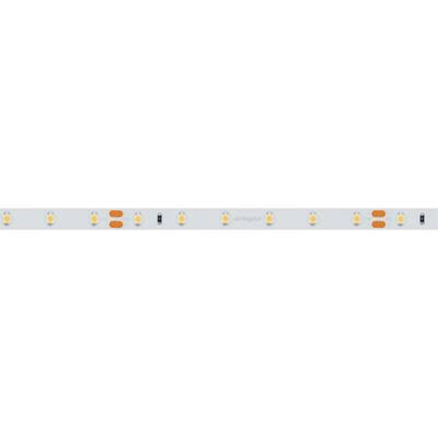 Светодиодная лента RT 2-5000 24V White6000 (3528, 300 LED, LUX) (Arlight, 4.8 Вт/м, IP20)