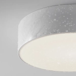 Уличный потолочный светильник Зон / Zon IP 4000 30Вт IP65, O431CL-L30W4K. TM Maytoni