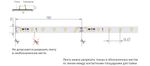 Светодиодная лента RT-20000 24V White6000 (3528, 60 LED/m, 20m) (Arlight, 4.8 Вт/м, IP20)
