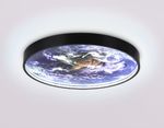 Светильник светодиодный настенно-потолочный FW11131 BK черный 15W LED 3000-6400K D240*38