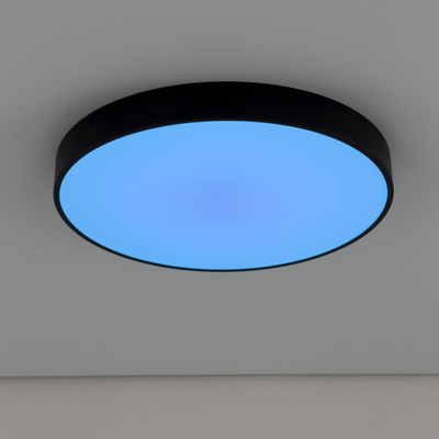 Citilux Купер CL72495G1 LED RGB Светильник с пультом Чёрный