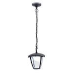 Citilux CLU04P LED Уличный подвесной светильник Чёрный