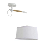 Настенно-потолочный Eureka 3005-1P, 1*E27*60W. ТМ F-Promo