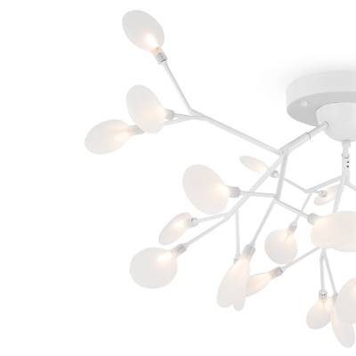 Потолочный светильник Florencia FR5049CL-27W2, G4х27. TM Maytoni