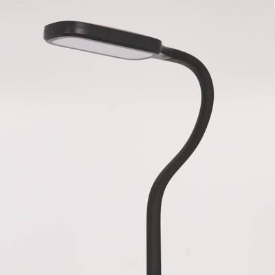 Citilux Марк CL804021 Торшер гибкий светодиодный Чёрный