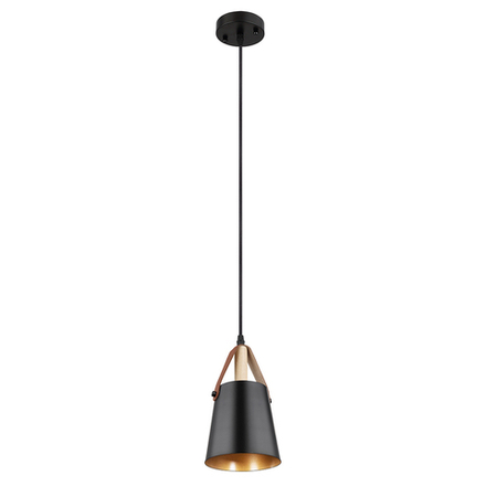 Подвесной светильник Arte Lamp THOMAS A7032SP-1BK, 1хE27
