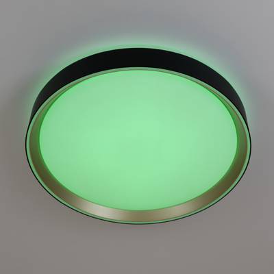 Citilux BOSS CL751351G LED RGB Светильник с пультом Чёрный с Золотом