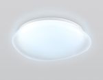 Светильник светодиодный RGB с пультом  FZ1610 FR матовый IP20 40W 3000-6500K+RGB 410*100 (ПДУ ИК)