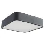 Потолочный светильник Arte Lamp COSMOPOLITAN A7210PL-2BK, 2хE27