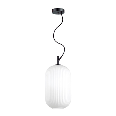 4751/1 PENDANT ODL21 411 белый/черный Подвес E27 60W ROOFI