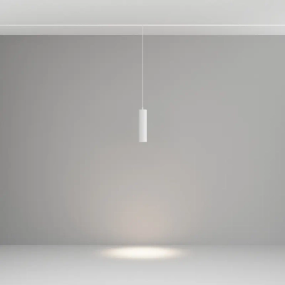 Трековый подвесной светильник Фокус / Focus Led Exility 2700-6000K 12Вт 36° Dim Dali1, TR041-4-12WTW-DD-W. TM Maytoni