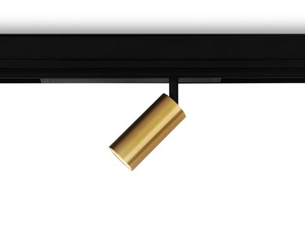 Светильник светодиодный диммируемый для шинопровода Magnetic 220V GL1213 GD золото IP20 12W 3000K-6400K 36° D45*100 (Без ПДУ)