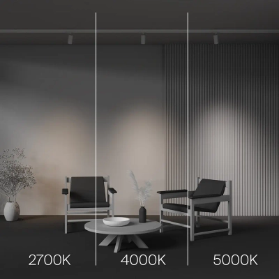 Трековый светильник Фокус / Focus Led Trinity 2700-5000K 12Вт 36°, TR197-3-12WCCT-M-W. TM Maytoni