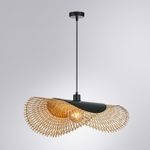 Подвесной светильник Arte Lamp WOODSTOCK A7063SP-1BK, 1хE27