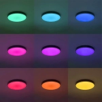 Citilux Купер CL724105G1 LED RGB Светильник с пультом Чёрный