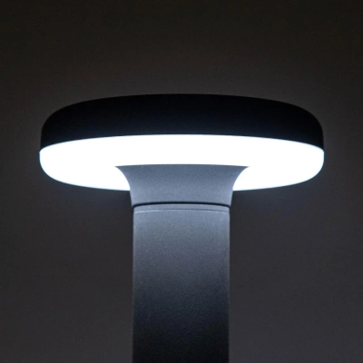 Citilux CLU01B LED Уличный парковый светильник Графит