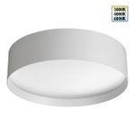 359600 OVER NT25 394 белый Светильник накладной светодиодный с переключ. цв. температуры IP20 LED 36W 220-240V 3000К\4000К\6000К ORBIS