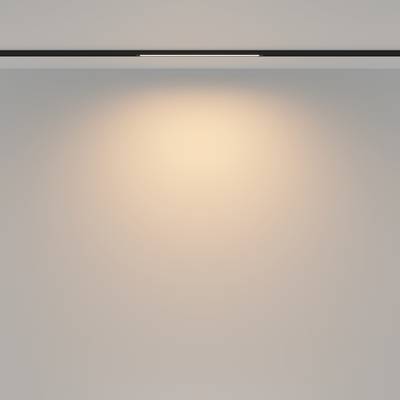 Трековый светильник Basis Basity 8Вт 120°, TR173-1-8WTW-B. TM Maytoni