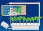 ULT-P44C-10W/SPLE IP20 AQUA WHITE Набор для гидропоники "Минисад AQUA", светильник для растений светодиодный с подставкой и компрессором. Спектр для фотосинтеза. Белый. TM Uniel