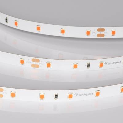 Лента RT-A60-8mm 24V Ruby (4.8 W/m, IP20, 5m) (Arlight, -)