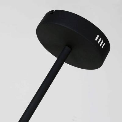 Подвесная люстра Duplex 2324-12P. ТМ Favourite