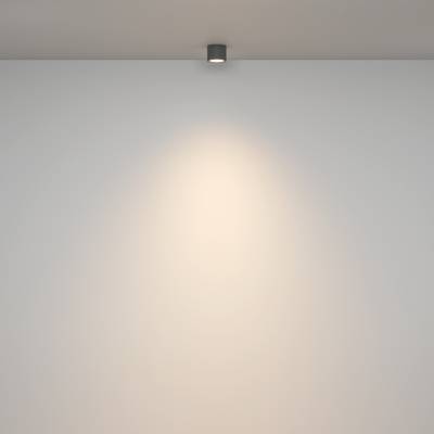 Потолочный светильник Rendo GX53х1, C095CL-GX53-GR. TM Maytoni