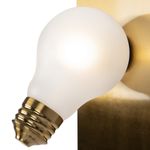 Настенный светильник (бра) Evidence  FR5372WL-01BS, G9х1. TM Maytoni