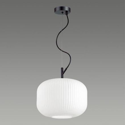 4754/1 PENDANT ODL21 489 белый/черный Подвес E27 60W ROOFI