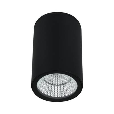 Уличный потолочный светильник Arte Lamp TORCULAR A1807PF-1BK, 1хLED