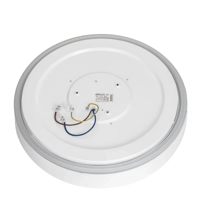 Citilux BOSS CL751350G LED RGB Светильник с пультом Белый
