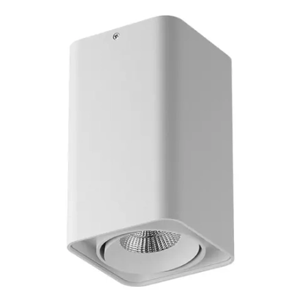 052136-IP65 Светильник MONOCCO LED10W 600LM 30G БЕЛЫЙ 4000K Lightstar
