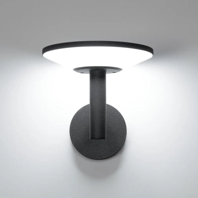 Citilux Dorn CLU05W LED Уличный настенный светильник Графит